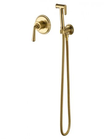 Смеситель с гигиеническим душем встраиваемый WONZON & WOGHAND STEAM, Брашированное золото (WW-88849008-BG), артикул WW-88849008-BG