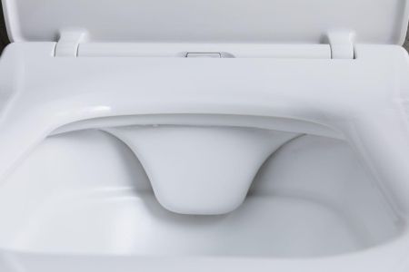 Чаша подвесного унитаза Allen Brau Liberty 4.33007.21 белый матовый, артикул 4.33007.21