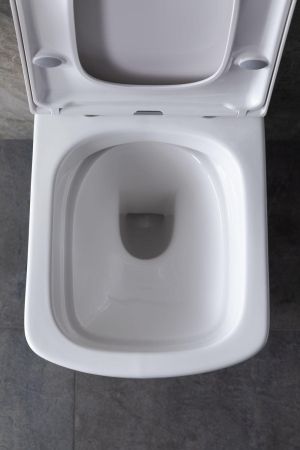 Крышка-сиденье для унитаза Allen Brau Liberty 4.33006.20 белый глянец, артикул 4.33006.20