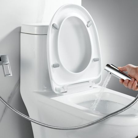 Гигиенический душ со смесителем Raffine F0596-1, хром