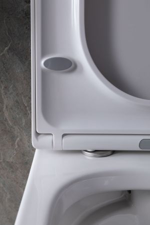 Чаша подвесного унитаза Allen Brau Infinity 4.21004.20 белый глянец, артикул 4.21004.20