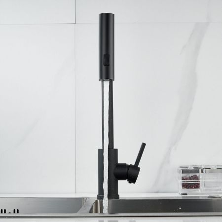 Смеситель для кухни с мультифункциональным изливом Raffine F203H, черный