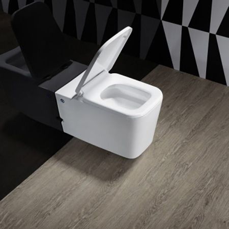 Унитаз Cerutti SPA C-370C 7281 с импульсным смывом с инсталляцией с сиденьем Микролифт