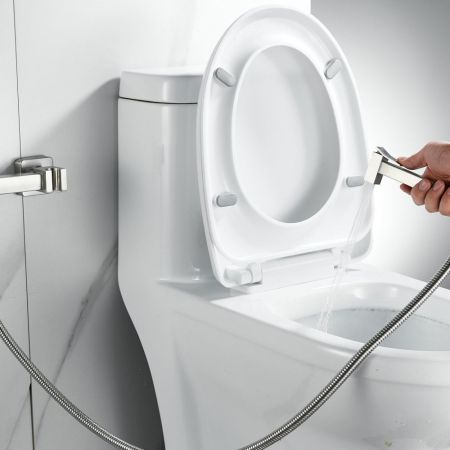 Гигиенический душ со смесителем Raffine F237L, сатин