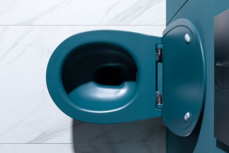 Крышка-сиденье для унитаза Allen Brau Fantasy Soft-Close 4.11005.PT петроль, артикул 4.11005.PT