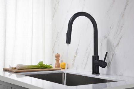 Смеситель для кухни с вытяжным изливом 2 jet AQUATEK, матовый черный AQ1384MB ЕВРОПА, артикул AQ1384MB