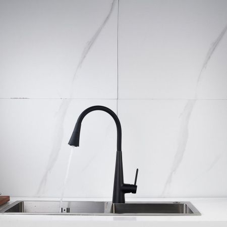 Смеситель для кухни с гибким изливом и режимом "душ" Rose R213H, черный