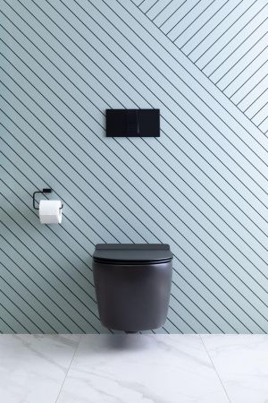 Унитаз подвесной Aquanet Rimless Cetus-BW BL-102N-WHT, артикул CETUS-BW