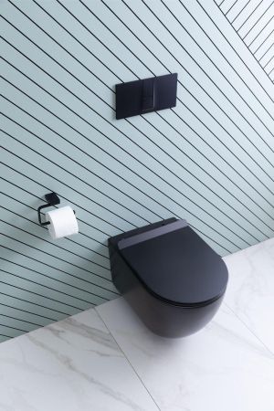 Унитаз подвесной Aquanet Rimless Cetus-BW BL-102N-WHT, артикул CETUS-BW