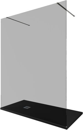 Душевая перегородка Allen Brau Infinity 2 160 3.21056.BA.T серебро браш, артикул 3.21056.BA.T