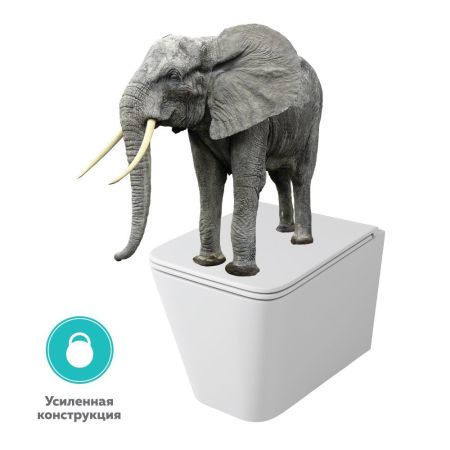 Унитаз подвесной безободковый OWL Vatter Ruta-H с сиденьем DP микролифт, артикул OWLT190401