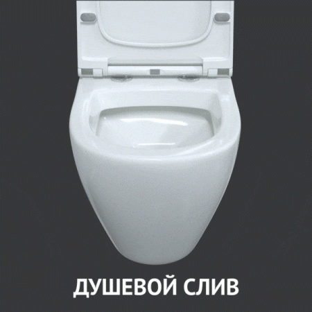 Унитаз подвесной BERGES OKUS 48 см., сиденье дюропласт Toma Slim SO, микролифт, быстросьем, артикул 082127