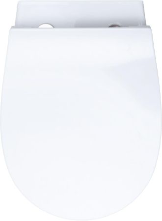 Чаша подвесного унитаза Allen Brau Fantasy 4.11004.20 белый глянец, артикул 4.11004.20