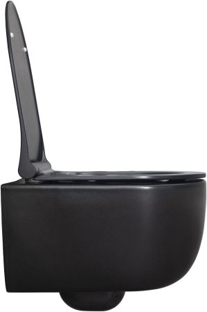 Чаша подвесного унитаза Allen Brau Priority 4.31002.31 черный матовый, артикул 4.31002.31