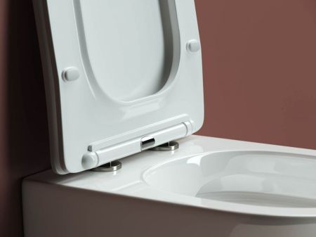 Подвесной унитаз Forma Rimless CN3009