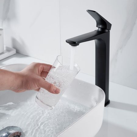 Смеситель для раковины высокий Shevanik S4211H, черный