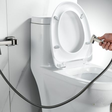 Гигиенический душ со смесителем Raffine F237T, оружейная сталь