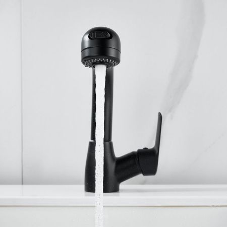 Смеситель для раковины многофункциональный Raffine F291H, черный, артикул F291H