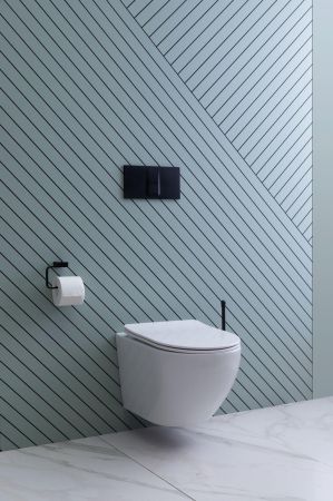 Унитаз подвесной Aquanet Rimless Cetus 2.0 W LX-1901, артикул Cetus 2.0 W