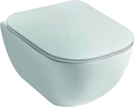 Disegno ceramica Forever, подвесной безободковый унитаз, c крепежом, 50x37 см, цвет белый глянцевый, артикул FV00500001