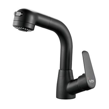 Смеситель для раковины многофункциональный Raffine F291H, черный