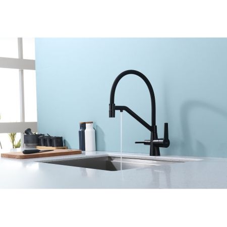 Смеситель для кухни с подключением фильтра Raglo R80.62.06, черный, артикул R80.62.06