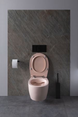 Чаша подвесного унитаза Allen Brau Fantasy 4.11004.SM розовый, артикул 4.11004.SM