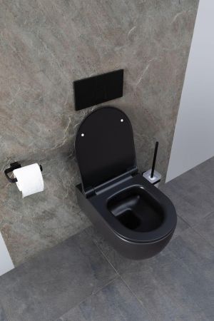 Чаша подвесного унитаза Allen Brau Priority 4.31001.31 черный матовый, артикул 4.31001.31