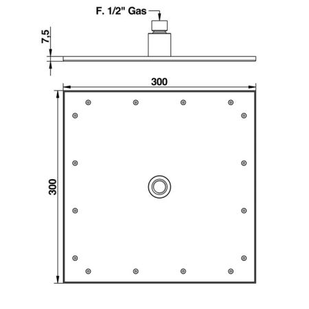 Bongio Tattoo Душевая головка, артикул 00879TT10