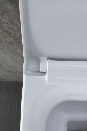 Чаша подвесного унитаза Allen Brau Infinity 4.21011.20 белый глянец, артикул 4.21011.20