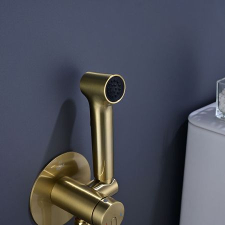Гигиенический душ со смесителем Rose R235G, золотой сатин