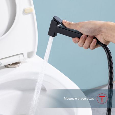 Гигиенический душ со смесителем встраиваемый с полкой и бумагодержателем Raglo R51.55.06, черный