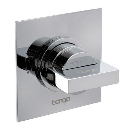 Bongio Domino Q Переключатель на 2 положения настенный, встраивамый, в комплекте с встраиваемой частью, цвет хром, артикул 43525CR02