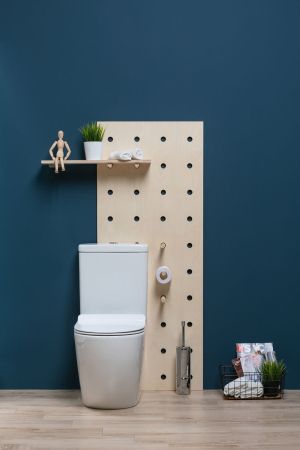 Чаша напольного унитаза Aquanet Rimless Cetus-C1 BL-102N-TPT