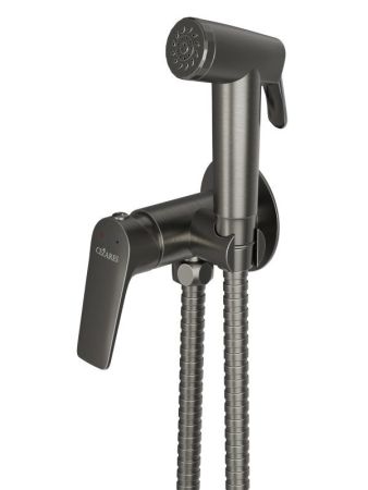 LINER-DIF-GM Гигиенический душ со смесителем, оружейная сталь, артикул LINER-DIF-GM