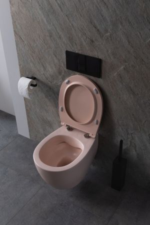 Чаша подвесного унитаза Allen Brau Fantasy 4.11004.SM розовый, артикул 4.11004.SM