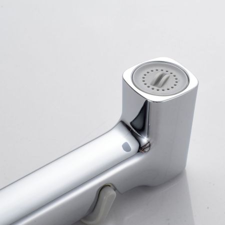 Гигиенический душ со смесителем Shevanik S9905, хром