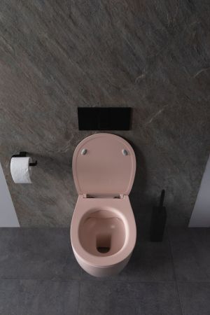 Чаша подвесного унитаза Allen Brau Fantasy 4.11004.SM розовый, артикул 4.11004.SM