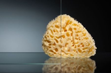 Душевой уголок Radomir 110x90 1-09-1-0-0-1220 профиль Белый стекло прозрачное, артикул 1-09-1-0-0-1220