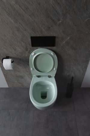 Чаша подвесного унитаза Allen Brau Fantasy 4.11004.MT мятный, артикул 4.11004.MT