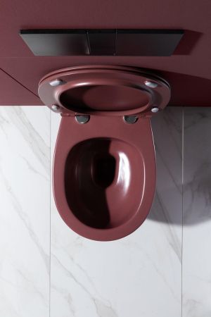 Чаша подвесного унитаза Allen Brau Fantasy 4.11004.BD бордо, артикул 4.11004.BD