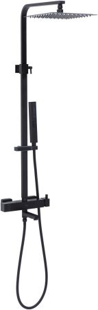 Душевая стойка Allen Brau Infinity 5.21029-31 черный матовый, артикул 5.21029-31