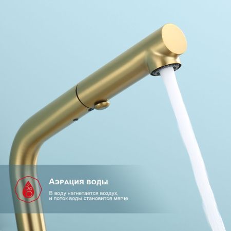 Смеситель для кухни с выдвижным изливом Raglo R86.49.03, золотой сатин