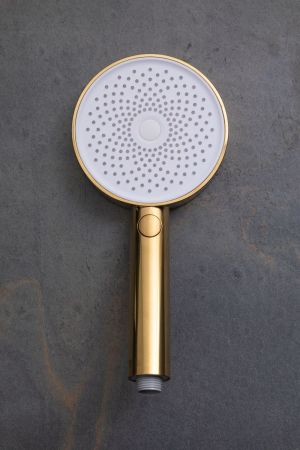 Душевая лейка Allen Brau Priority 5.31B20-GB золото, артикул 5.31B20-GB