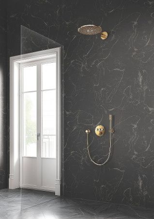 Душевой шланг GROHE Silverflex 1750 мм, холодный рассвет (28388GL0) Душевой шланг GROHE Silverflex 1750 мм, холодный рассвет (28388GL0)
