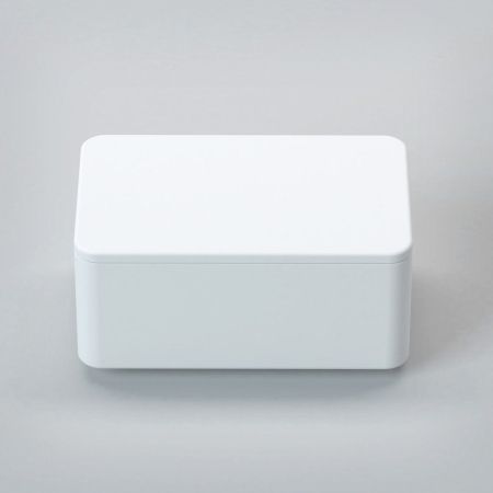 Бокс с крышкой CEZARES TITAN-RECT-SCAT