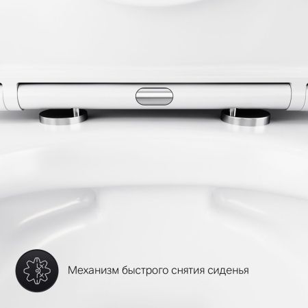 C741701SC Sense подвесной унитаз FlashClean с сиденьем микролифт