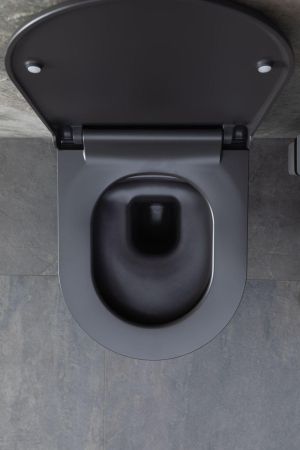 Чаша подвесного унитаза Allen Brau Priority 4.31002.AN антрацит, артикул 4.31002.AN