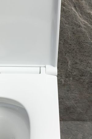 Чаша подвесного унитаза Allen Brau Priority Tornado 4.31009.20 белый глянец, артикул 4.31009.20