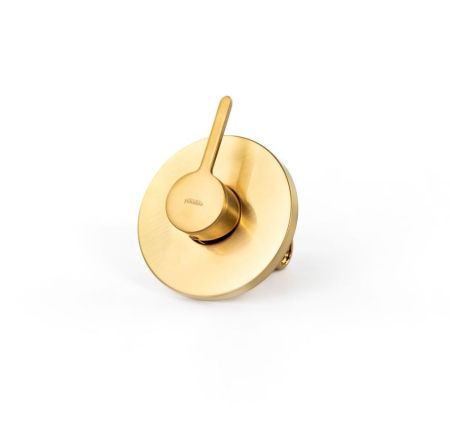 Emmevi Filobrass, однорычажный (со стержнем) встраиваемый смеситель для душа, цвет зачищенное золото, артикул 85009/ORS